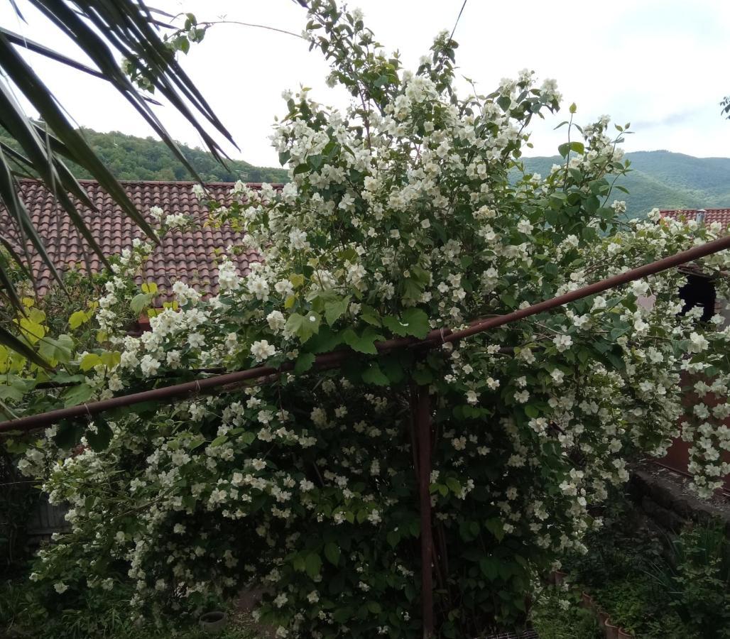 Hotel Kizikis Kari Sighnaghi Zewnętrze zdjęcie