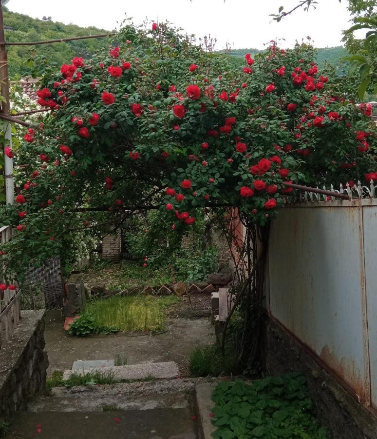 Hotel Kizikis Kari Sighnaghi Zewnętrze zdjęcie